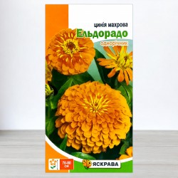 Насіння цинії Махрова Ельдорадо лососева, 0,5г, ТМ Яскрава